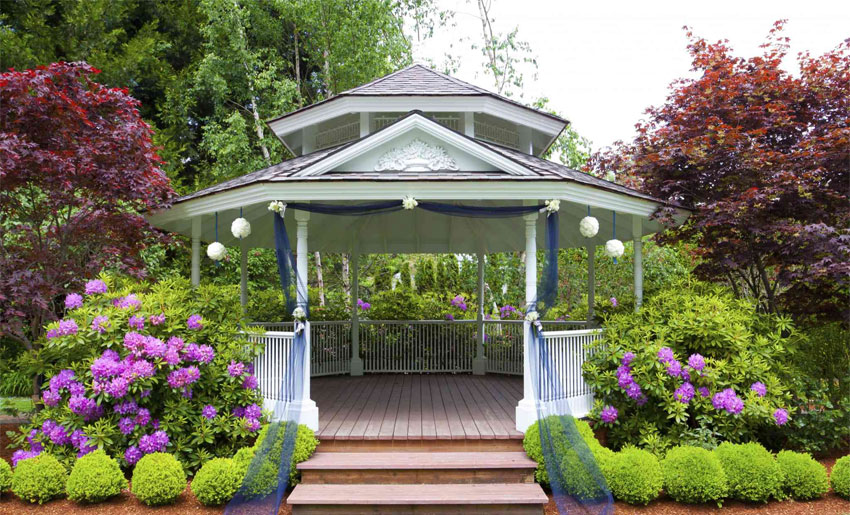 Декоративні насадження прикрасять альтанку